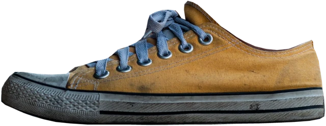 Converse canvas low-top